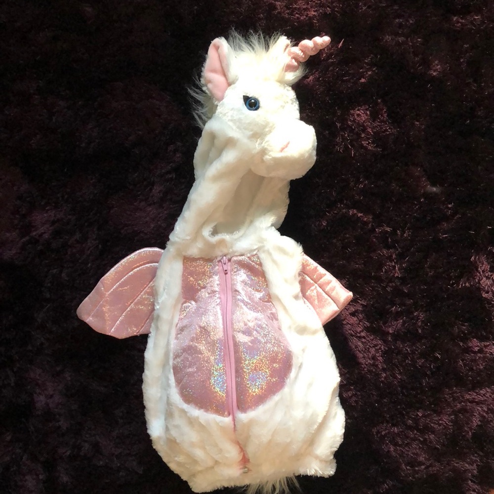 Unicorn with wings Costume